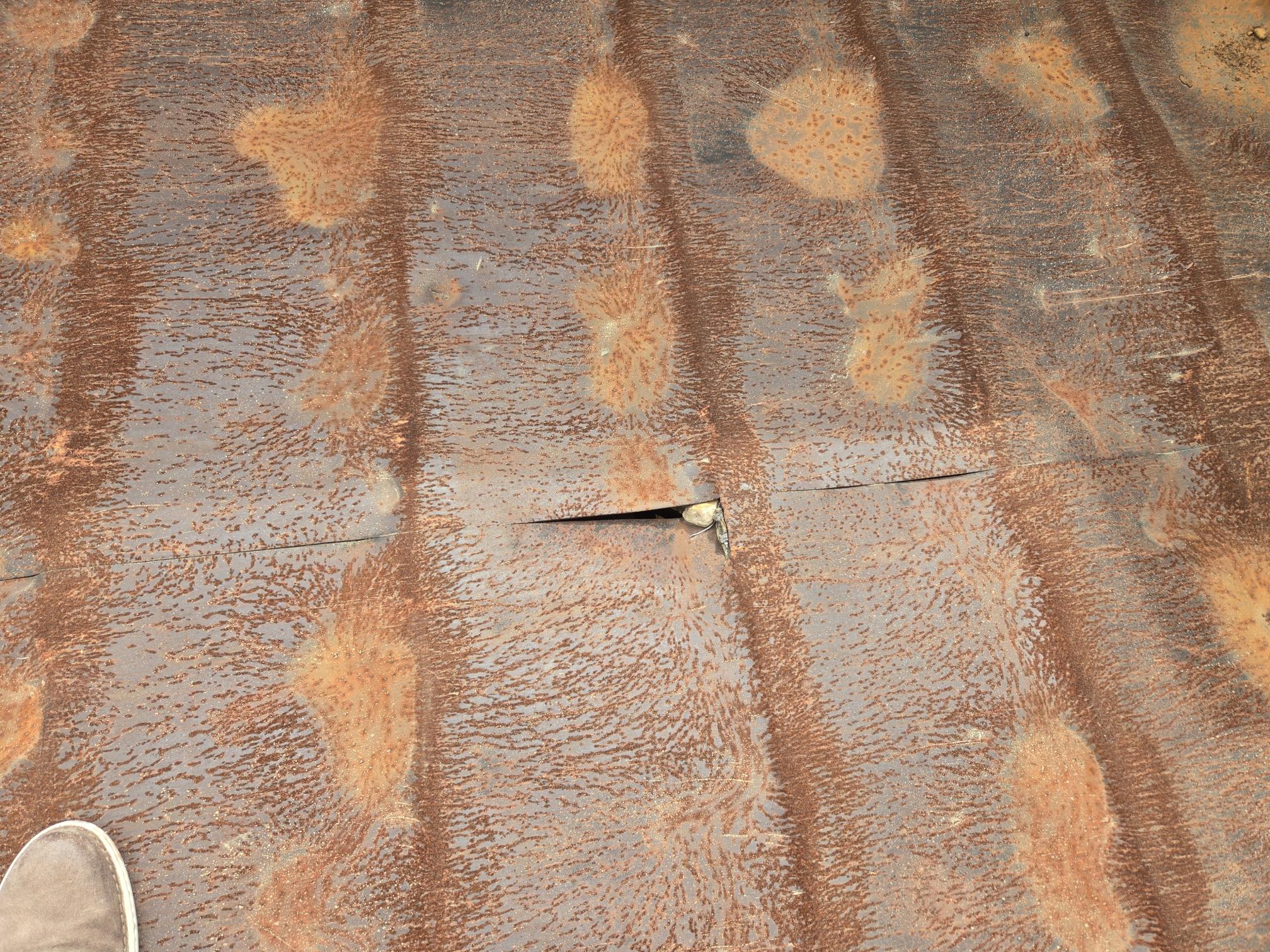 1995 WARREN SFS2654 - view 13 of 13