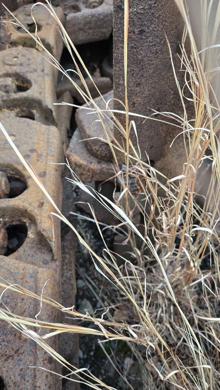 1996 CATERPILLAR D11N - Image 36