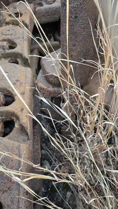 1996 CATERPILLAR D11N - Image 36