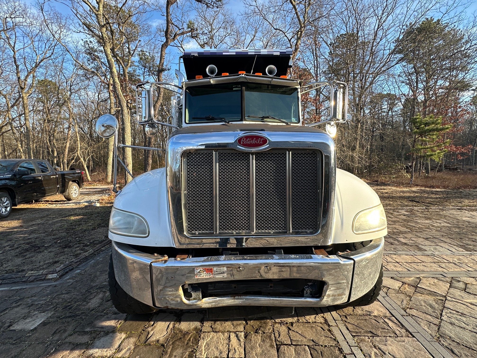 2008 PETERBILT PB340 - view 4 of 44