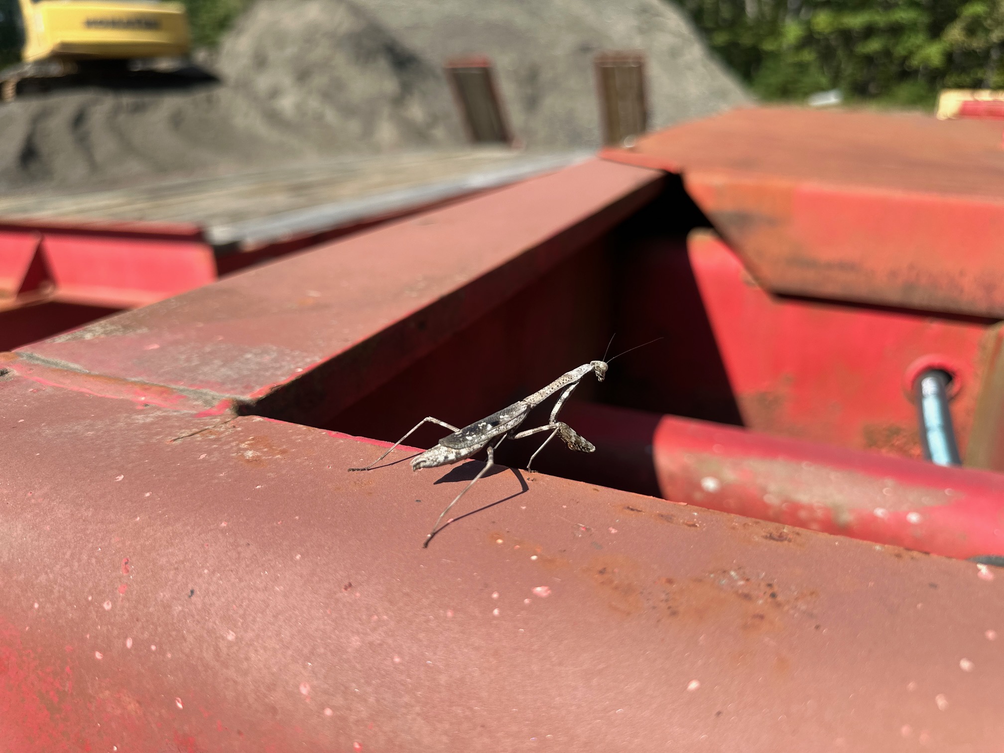 1998 TALBERT 50T - Image 24