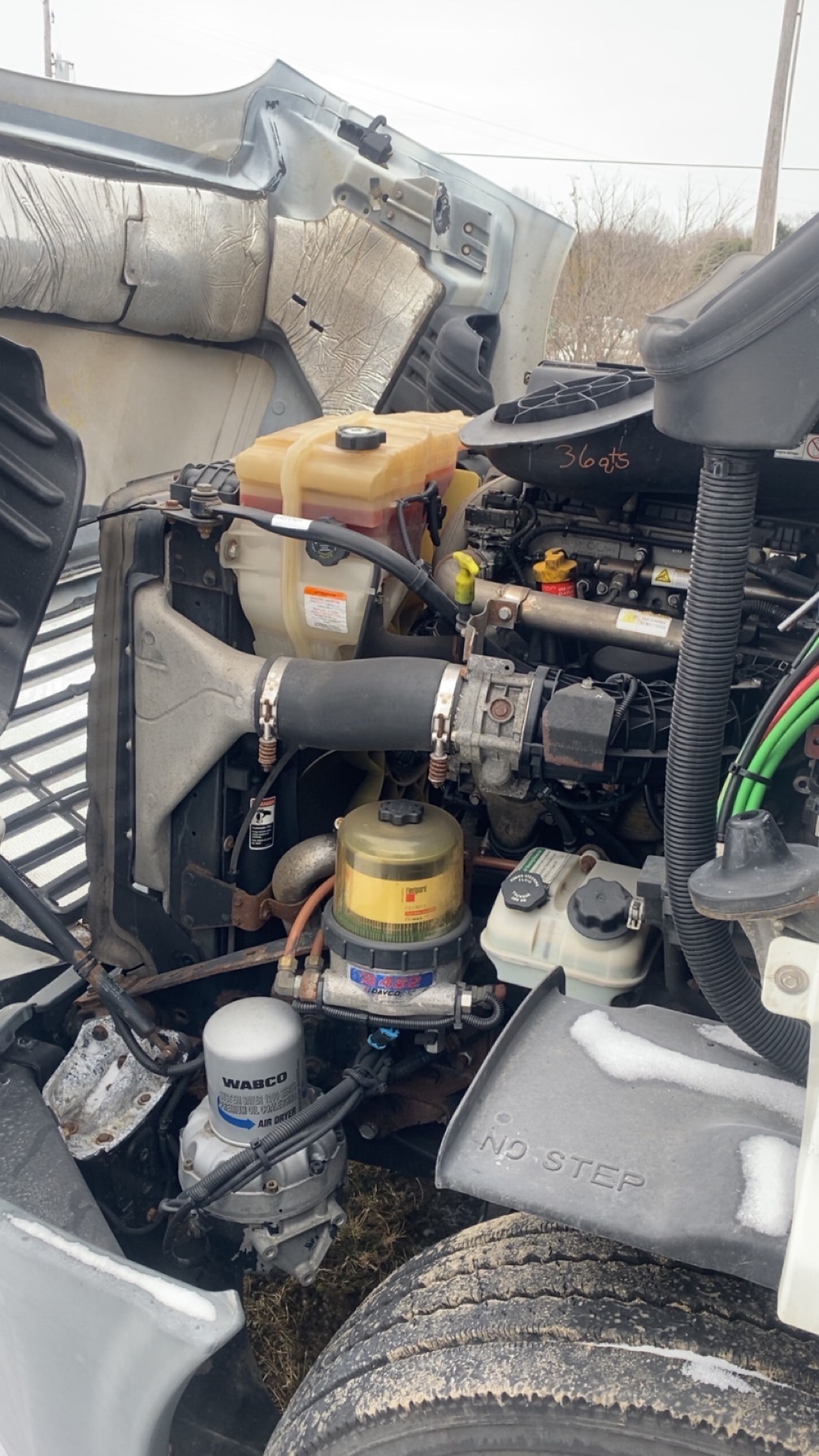 2016 FREIGHTLINER Cascadia 113 - Image 11