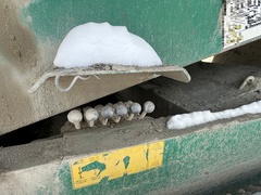 2009 MCCLOSKEY R155 - Image 31