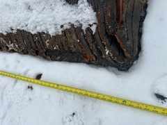 2009 KAWASAKI 95ZV-2 - Image 39