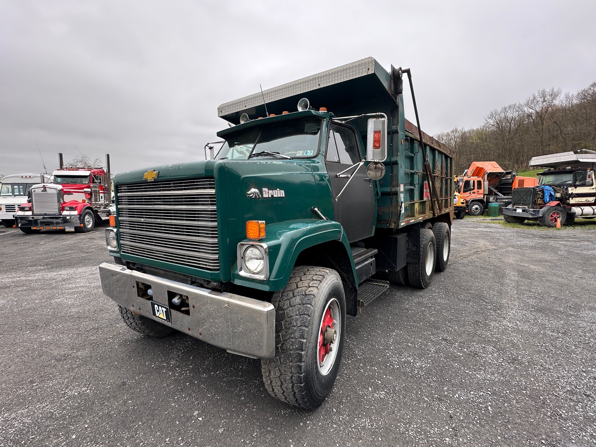 1979 CHEVROLET Bruin - view 2 of 44