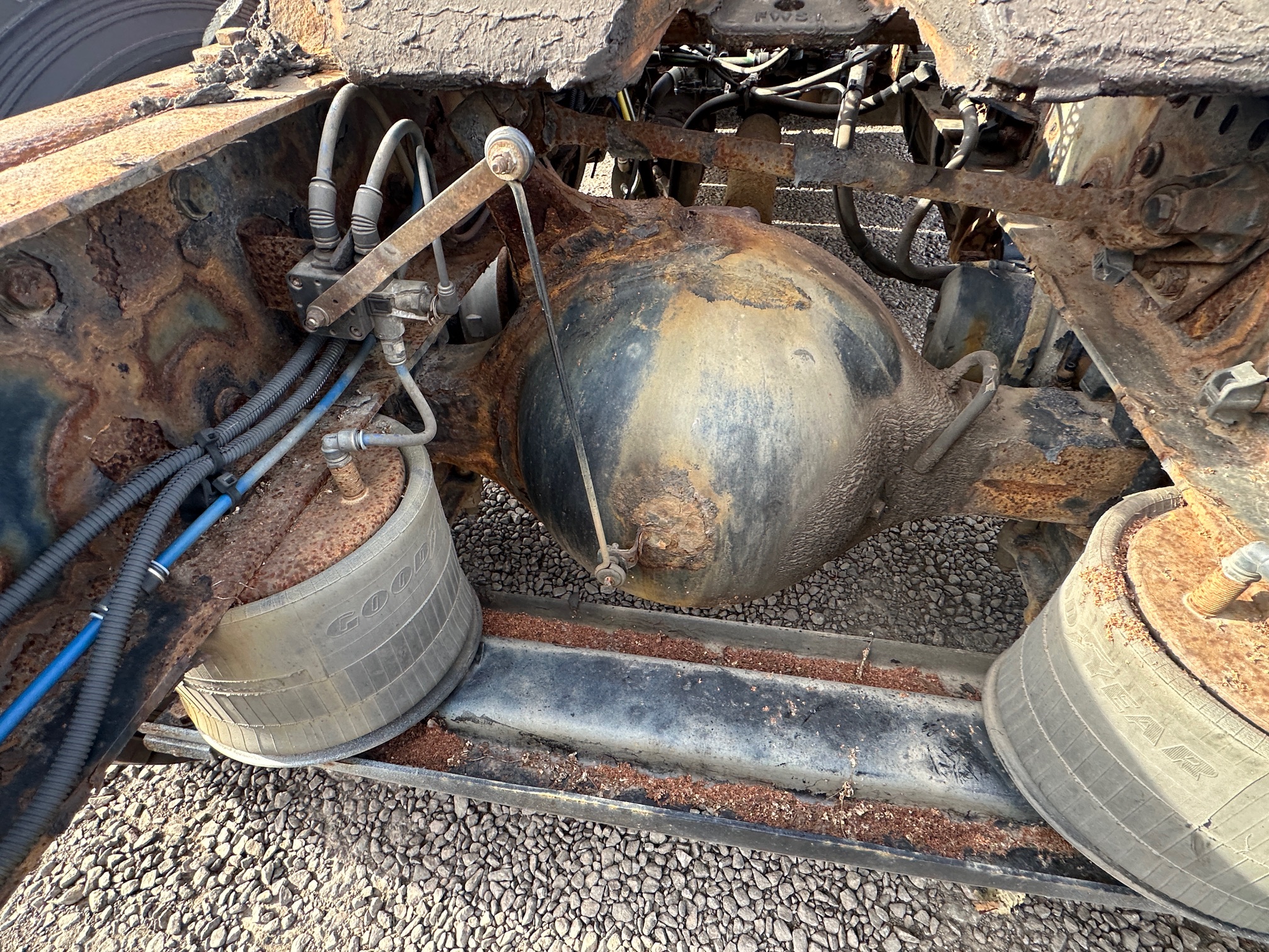 2012 FREIGHTLINER Cascadia 125 - Image 12