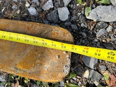 KAWASAKI 70Z IV - Image 33