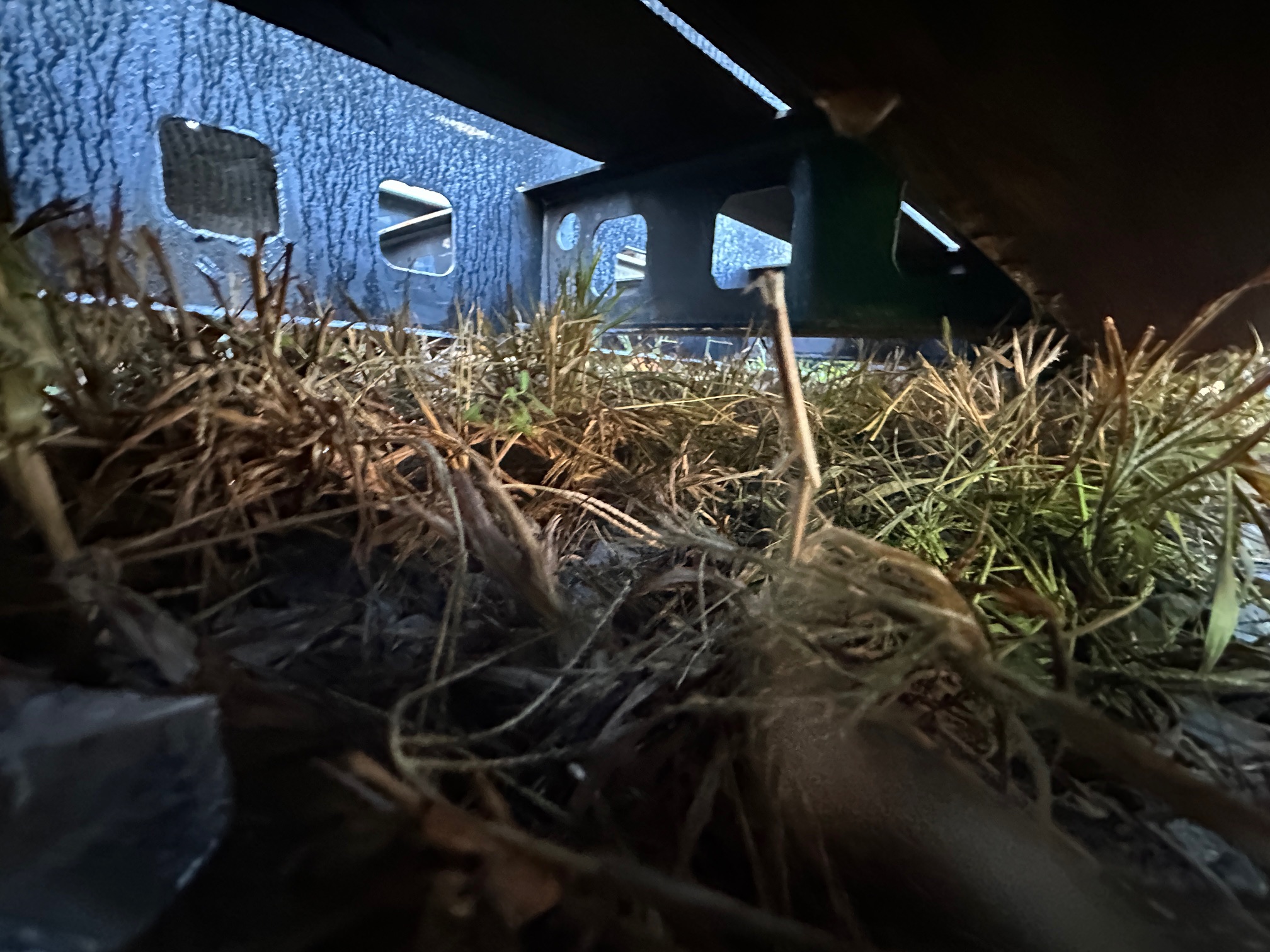 2020 KALYN 51' x 102 - view 11 of 14