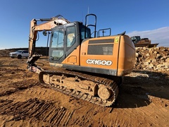 2019 CASE CX160D - Image 10
