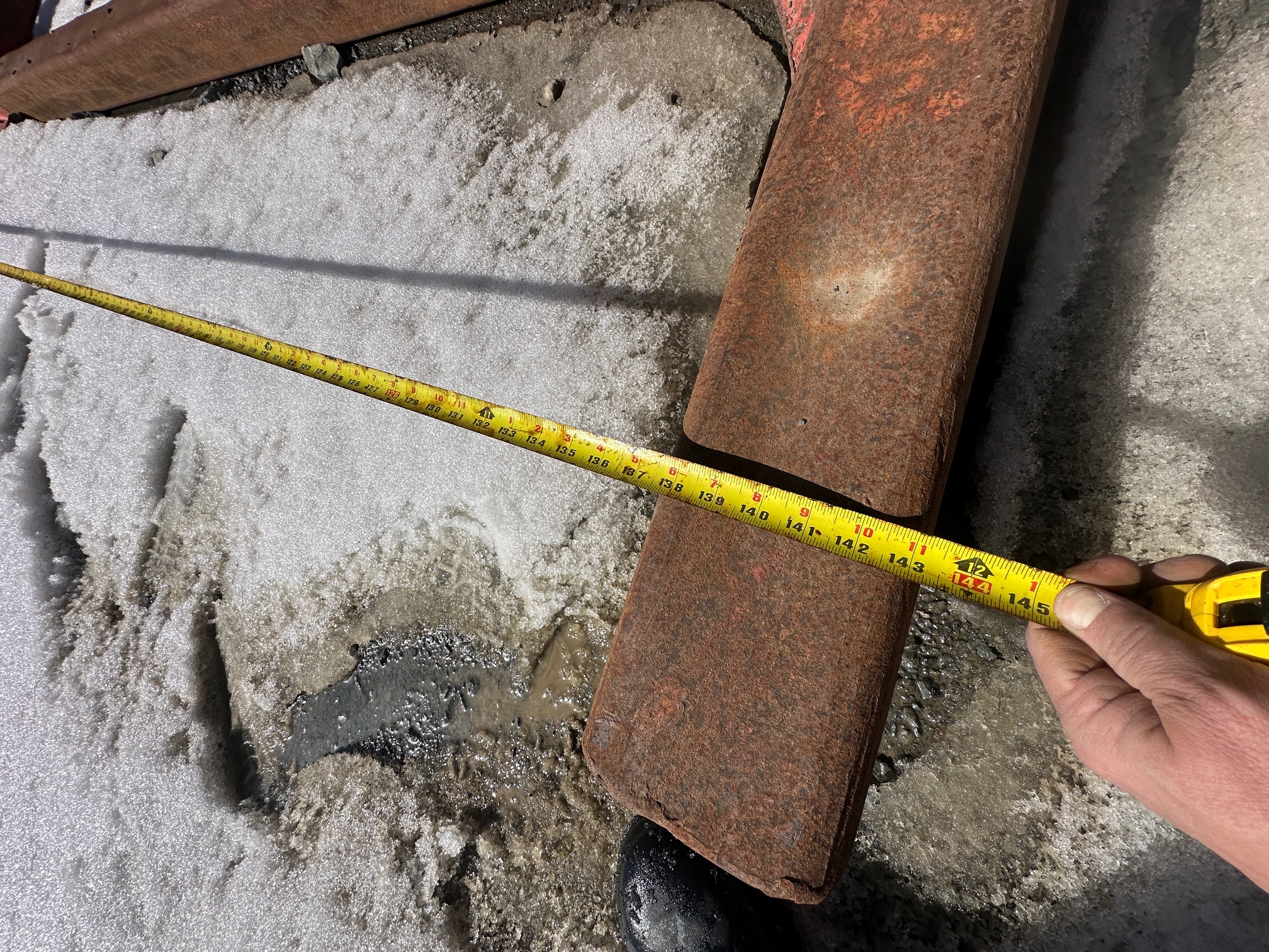 CUSTOM BUILT Static Grizzly - view 9 of 10