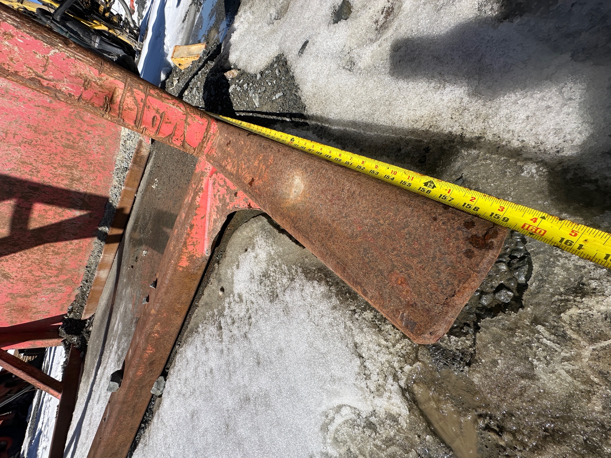 CUSTOM BUILT Static Grizzly - view 10 of 10