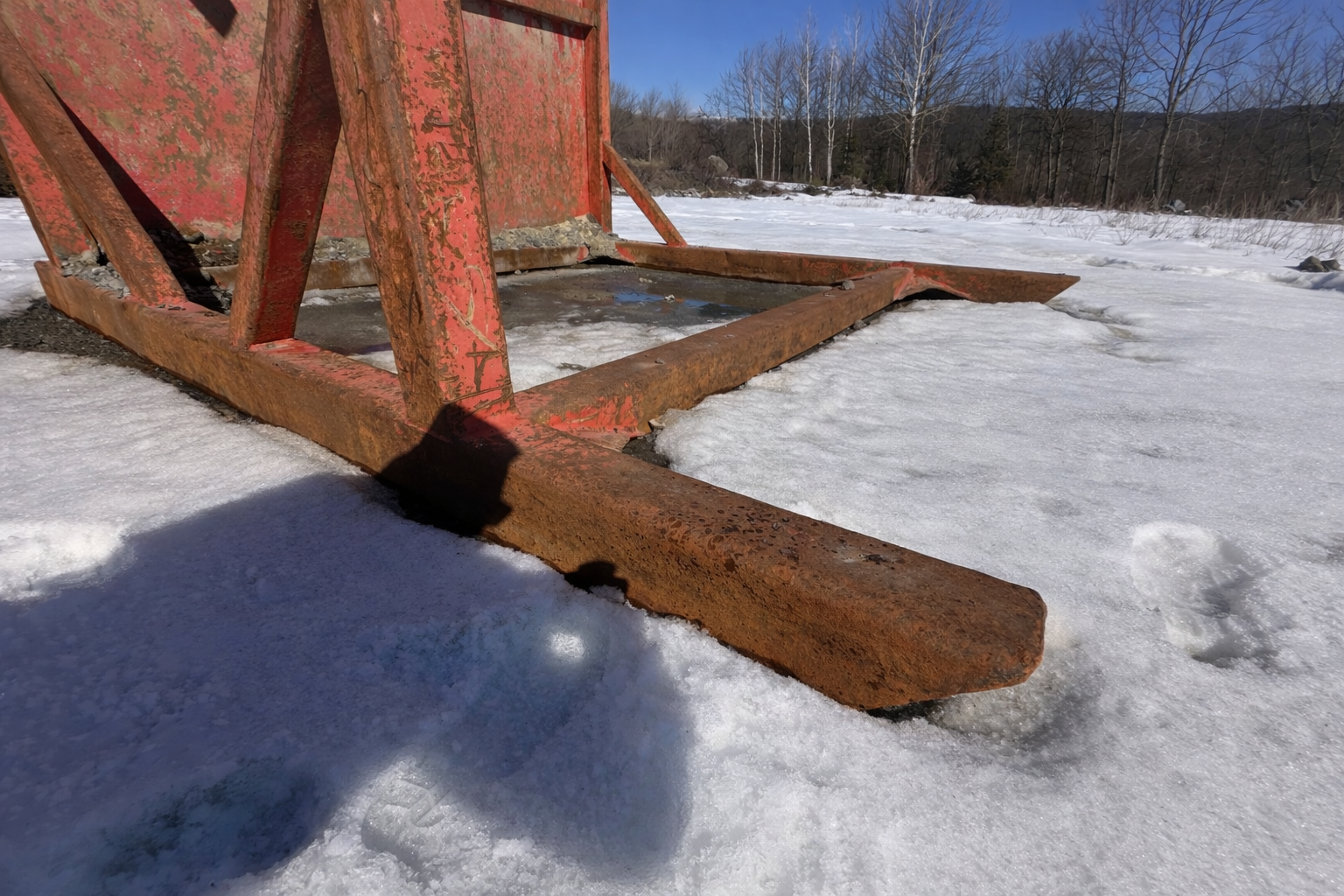 CUSTOM BUILT Static Grizzly - Image 8