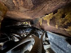 2017 PETERBILT 567 - Image 37