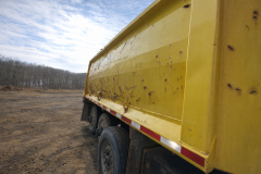 2017 PETERBILT 567 - Image 4