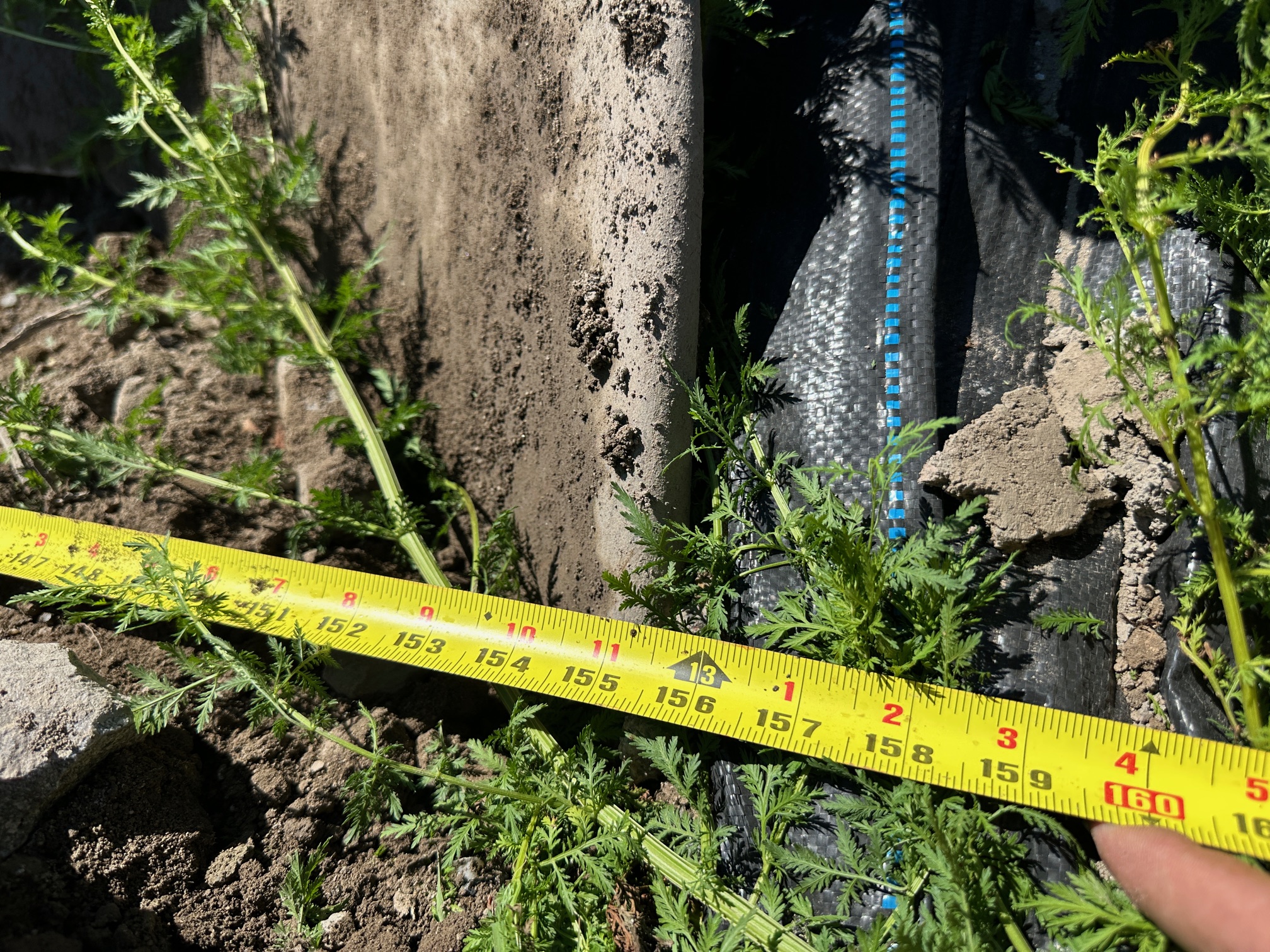 2014 CATERPILLAR D8T - Image 35