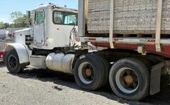 1999 PETERBILT 378 - Image 5