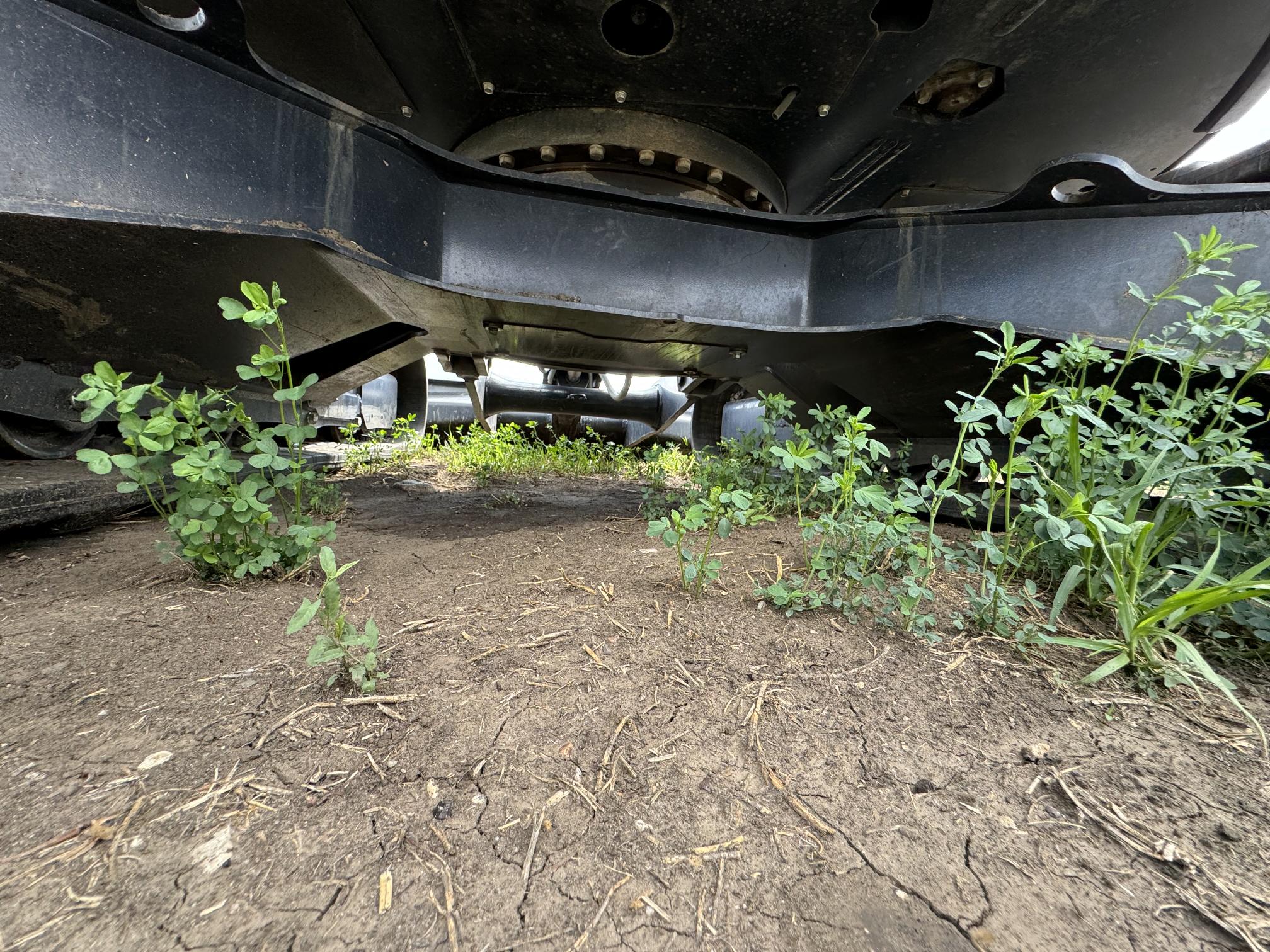 2019 YANMAR VIO80-1A - Image 36