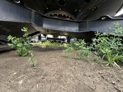 2019 YANMAR VIO80-1A - Image 36