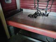 2008 PETERBILT - Image 26