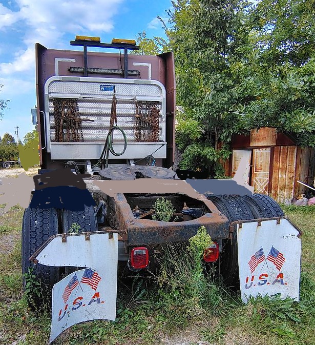 2007 PETERBILT 386 - view 7 of 29