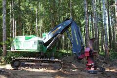 2019 JOHN DEERE 959 M - Image 4