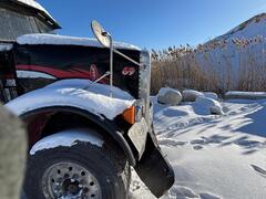 2003 PETERBILT 385 - Image 5