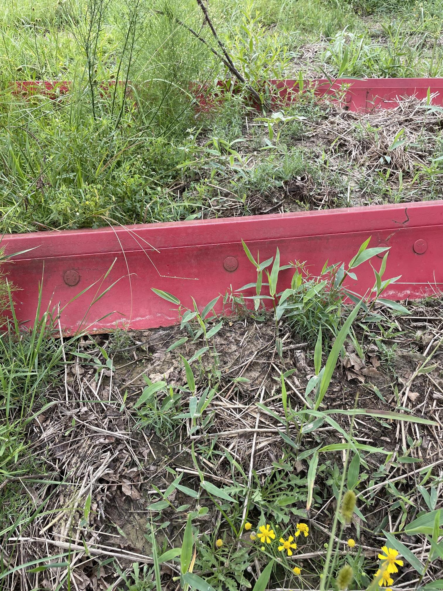 2020 THE BAD BOY 12 FT. - view 3 of 4