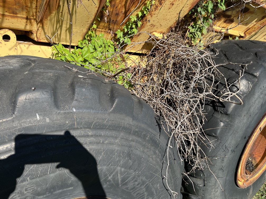 1985 MOXY 6200 - view 11 of 16